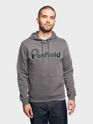 Penfield Bear Chest Print Hoodie Herren Grau | P-7412508