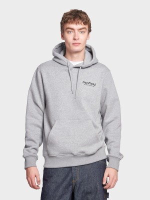 Penfield Ridge Trail Back Graphic Hoodie Herren Grau | P-2813746