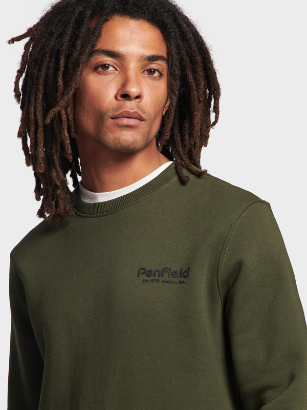 Penfield Hudson Script Pullover Herren Dunkelgrün | P-0283547