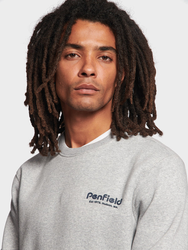 Penfield Hudson Script Pullover Herren Grau | P-2150498
