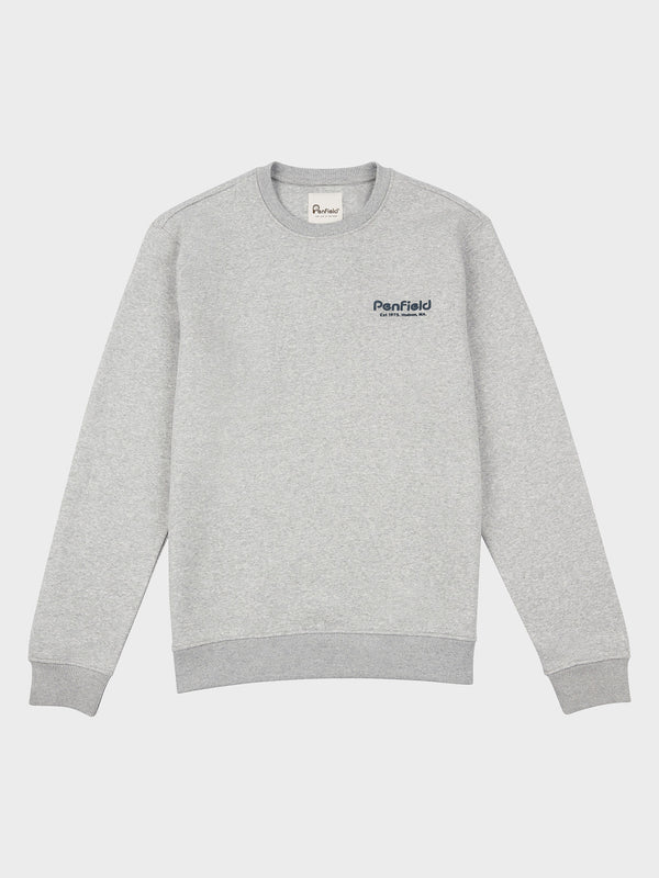 Penfield Hudson Script Pullover Herren Grau | P-2150498