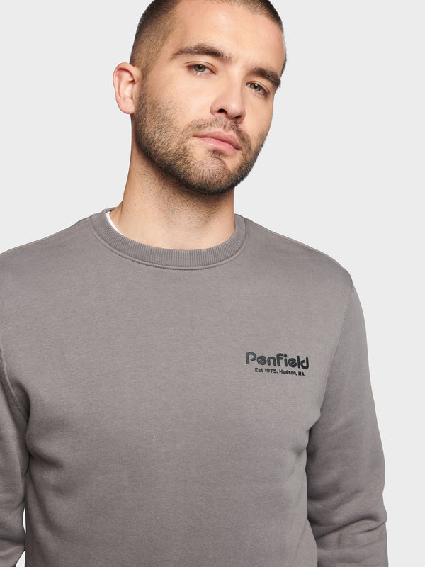 Penfield Hudson Script Pullover Herren Grau | P-2480195