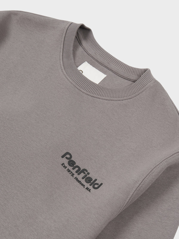 Penfield Hudson Script Pullover Herren Grau | P-2480195